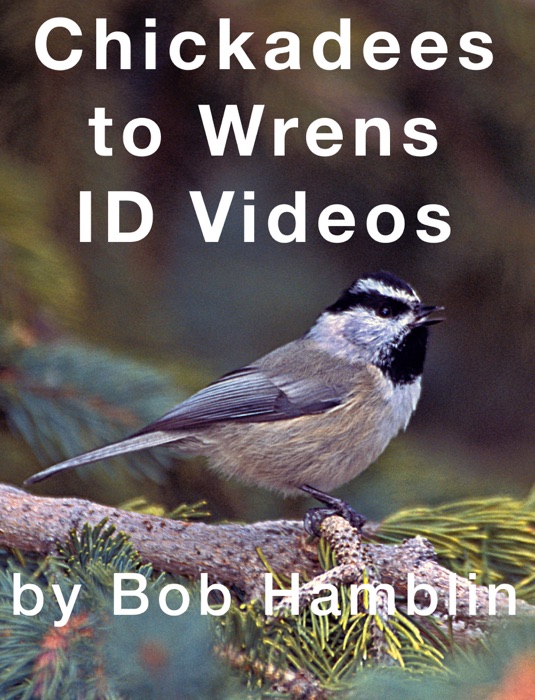 Chickadees to Wrens ID Videos