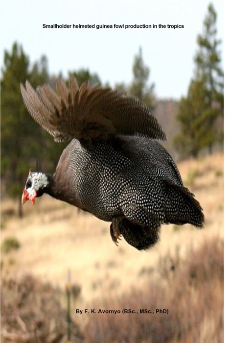 Smallholder Helmeted Guinea Fowl Production in the Tropics