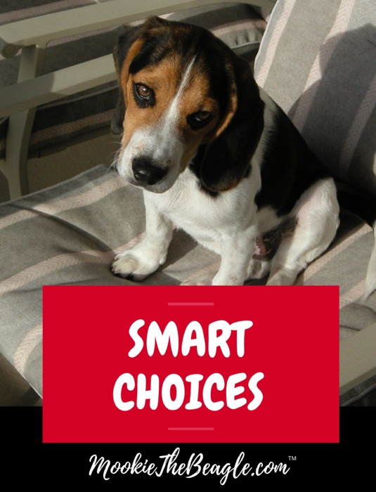 MOOKIETHEBEAGLE.COM SMART CHOICES