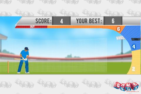 Practice Cricket Pocket Edition screenshot 3