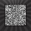 QR Code Assistant