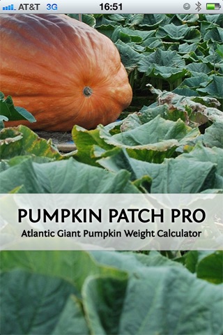 Pumpkin Pro