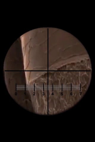 Microscope screenshot 2