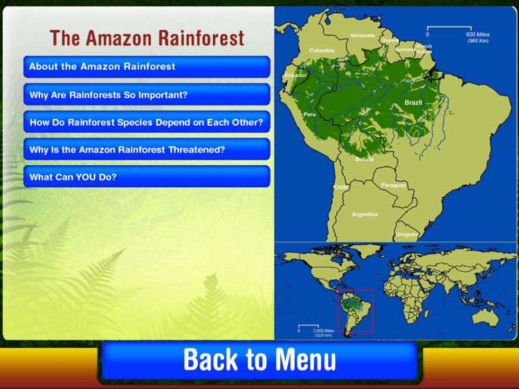 Rainforest Survival Challenge screenshot-3