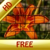 Puzzle Master HD Free