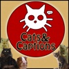 CatsAndCaptions