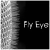 Fly Eye