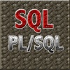 SQL & PL/SQL