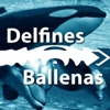 HD Delfines y Ballenas