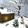 Real SnowGlobe Snow