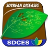 Soybean Diseases of SD