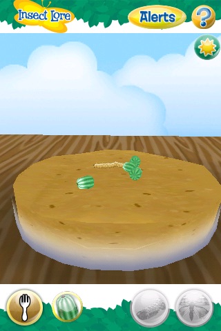 Live Butterfly Garden