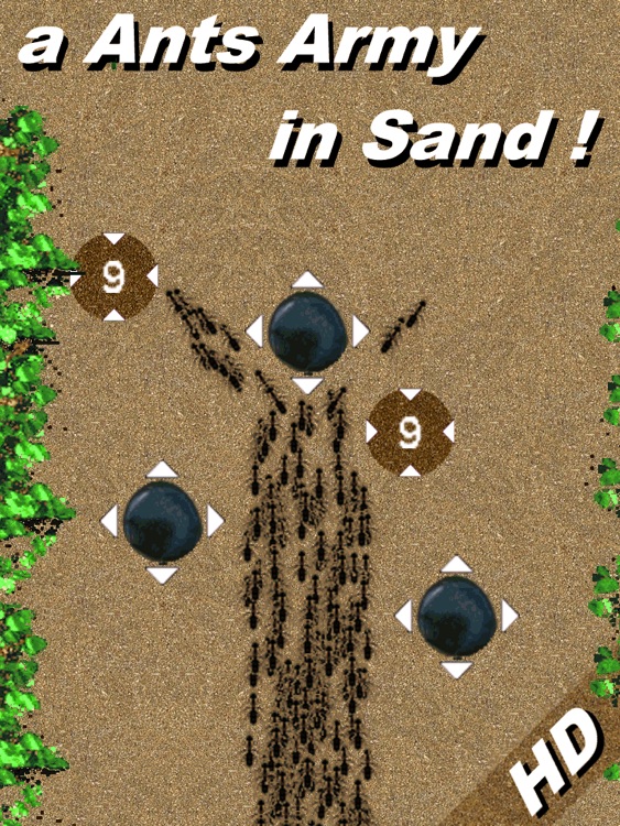 a Ants Army in Sand ! - HD
