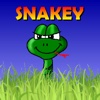 Snakey