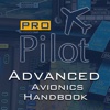 PRO Pilot Advanced Avionics