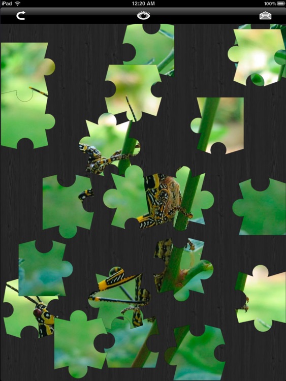 Jigzo HD - the Photo Jigsaw Puzzle for Kids and Adults