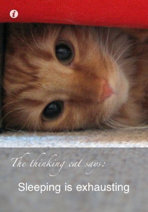 The Thinking Cat(圖3)-速報App