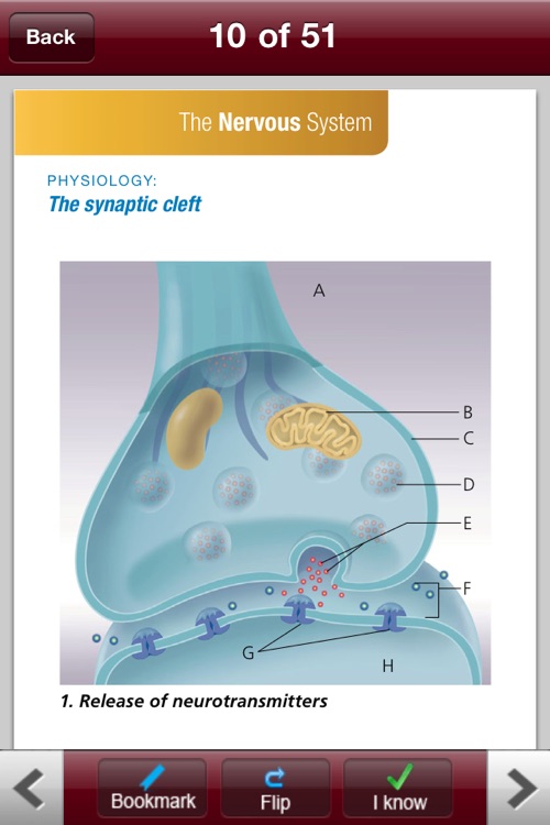 Anatomy & Physiology Flash Cards screenshot-4