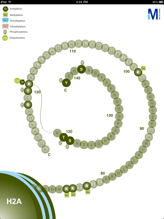 Merck Millipore Interactive Histone Modificatio...