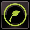 Leafsnap For iPad