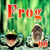 Frog HD