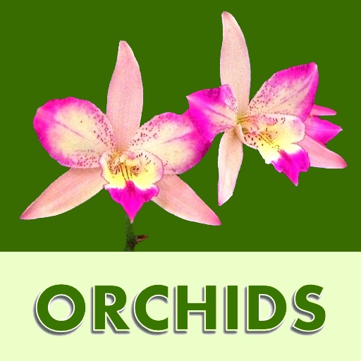 Orchid Wallpaper Deluxe icon