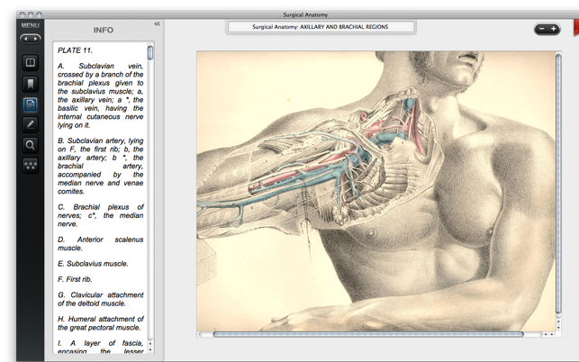 Surgical Anatomy - Premium Edition(圖2)-速報App