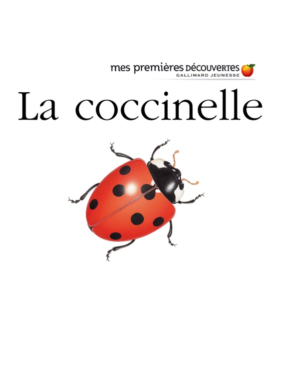 La coccinelle