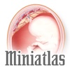 Miniatlas Gestação