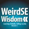 WeirdSE Wisdom : Module 3