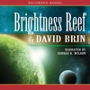 Brightness Reef (Audiobook)