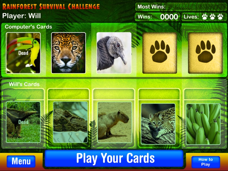 Rainforest Survival Challenge screenshot-4