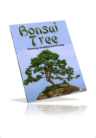 Bonsai Tree - The Art of Growing Bonsai Trees