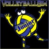 VolleyballSim Junior