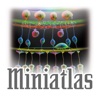 Miniatlas Degeneração Macular