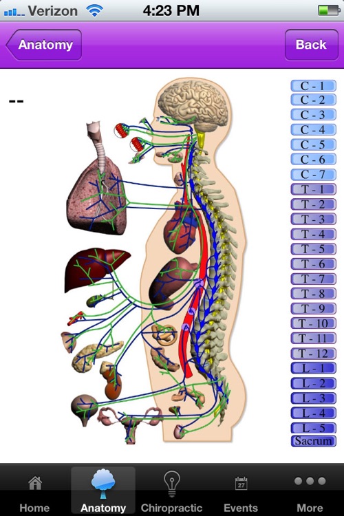 NeuropatholatorApp