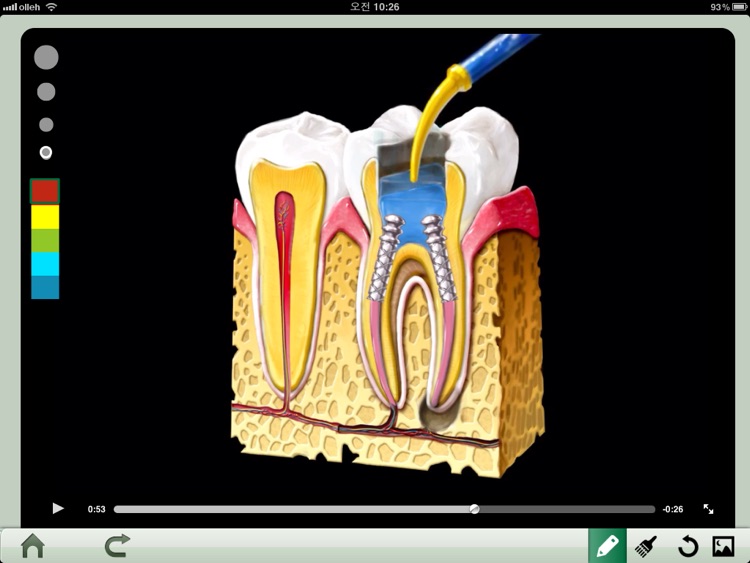 Dental iClinic lite screenshot-3