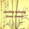 Soothing Relaxing Scenic Sounds