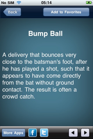 Cricket Terms