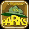 Yellowstone Tracks, Trees and Wildflowers