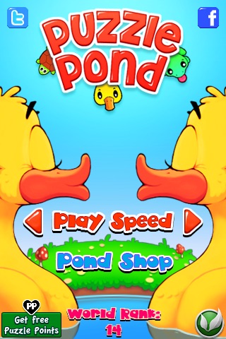 Puzzle Pond