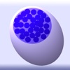 Lymph Node Cell Classification