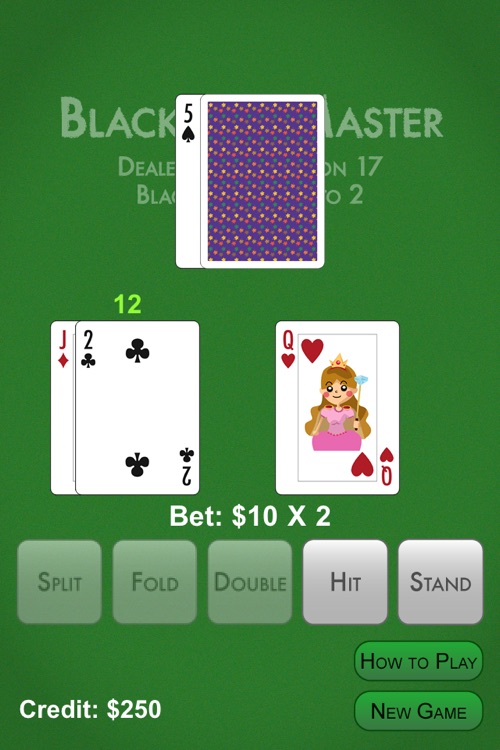 Blackjack Master Free screenshot-3