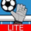 Soccer Insanity Lite