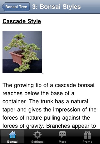 Bonsai Tree - The Art of Growing Bonsai Trees screenshot-3