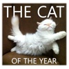 CAT OF THE YEAR 2010 - The world prettiest cat ...