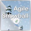 Agile Snowball: Debt Simplified iPad Edition