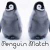 Penguin Match