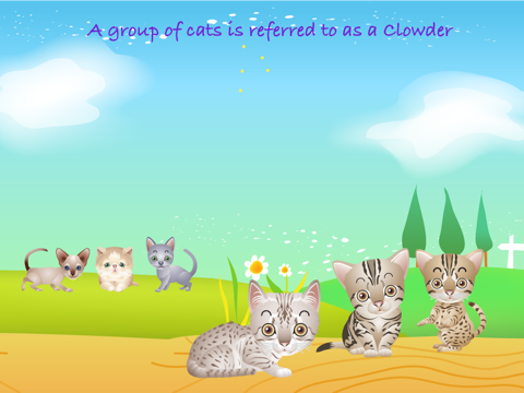 My Cat Lite - Animal Kingdom screenshot 4