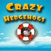Crazy Hedgehogs